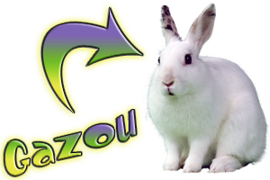 Gazou lapin magicien spectacles enfants